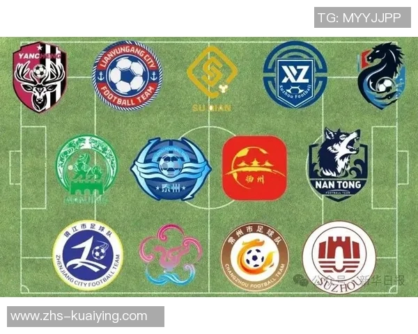 江苏省足球运动协会积极推动青少年足球发展助力地方体育事业腾飞